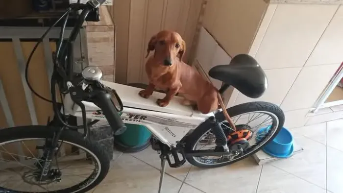 Vendo bicicleta elétrica 
