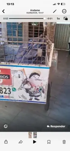 Carrinho de vendas 