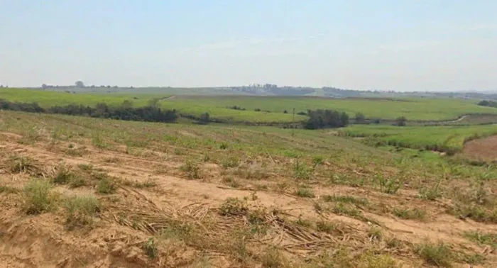 *EXCELENTE FAZENDA EM CANA A VENDA - LOCALIZADA NA REGIÃO DE PORTO FELIZ - SP* ?? - Área T