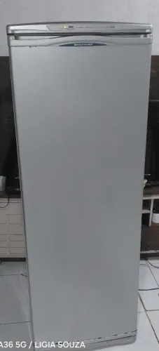 VENDO FREZER BRASTEMP FROSFREE