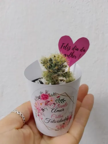 Lembranças personalizadas com cactos e suculentas 