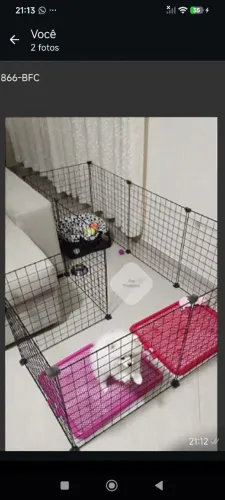 Cercado para Adestrar , Cachorro 