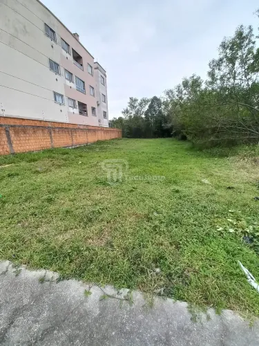 Lote de 386m², Nova Palhoça, Palhoça, SC