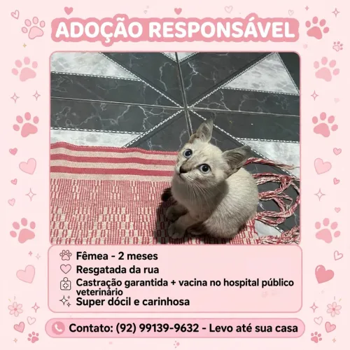 Doação responsável