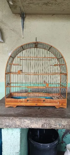 Gaiola