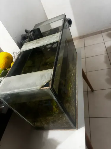 Vendo aquário com filtro sunsun