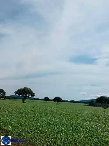 Fazenda à venda na região de Talismã - TO - 180 Alqueires