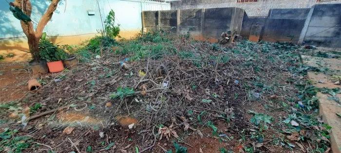 Corte e Poda de Árvores em Anápolis - Aceito Cartão