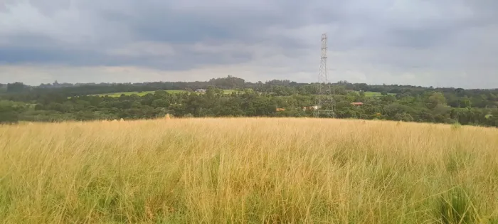 Sítio à venda em Boituva-SP, Zona Rural: 435.600,00 m² de área. Venha conferir!