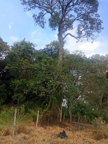 Sítio em Carmópolis de Minas 