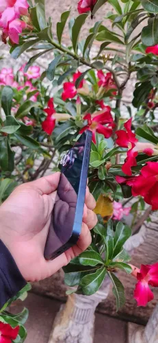IPhone 14 todo original