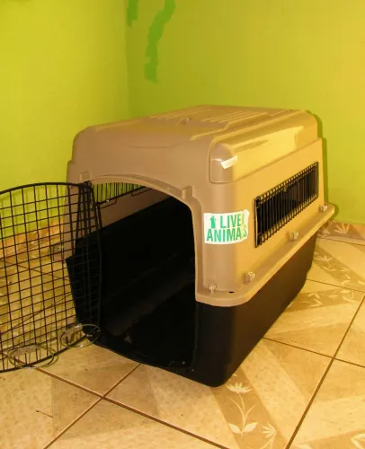 Caixa de Transporte para Cães/Gatos Grandes