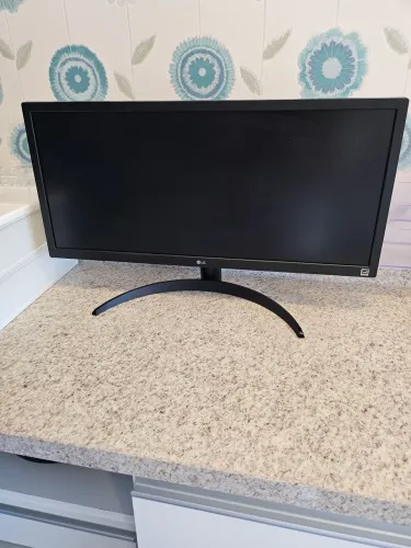 Monitor