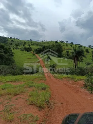 Fazenda para venda possui 100 hectares em Tapiraí MG com uma parte plantada eucaliptos