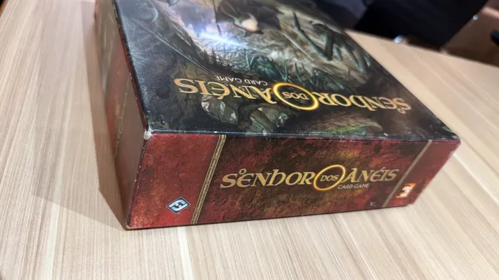 Senhor dos anéis , Sina