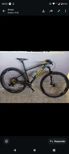 Bike Audax auge 40 carbono.