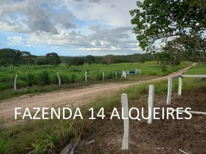 Fazenda 14 Alqueires Formada 3km Chão Niquelândia Goiás