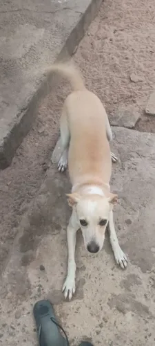 Doação