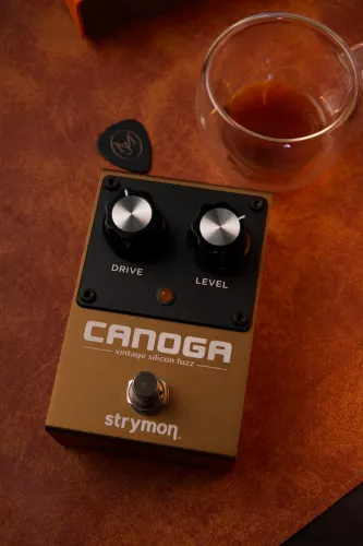 Strymon Canoga Fuzz