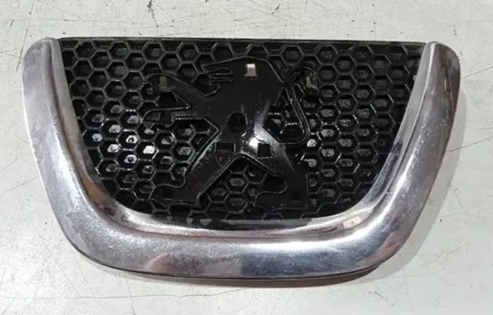 Grade Frontal Peugeot 307 2007 - 2012 Avaria Conforme A Foto Preto