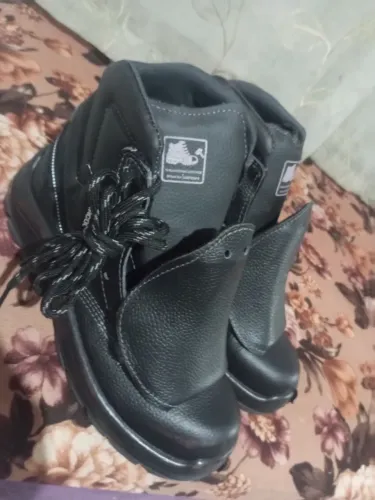 Bota