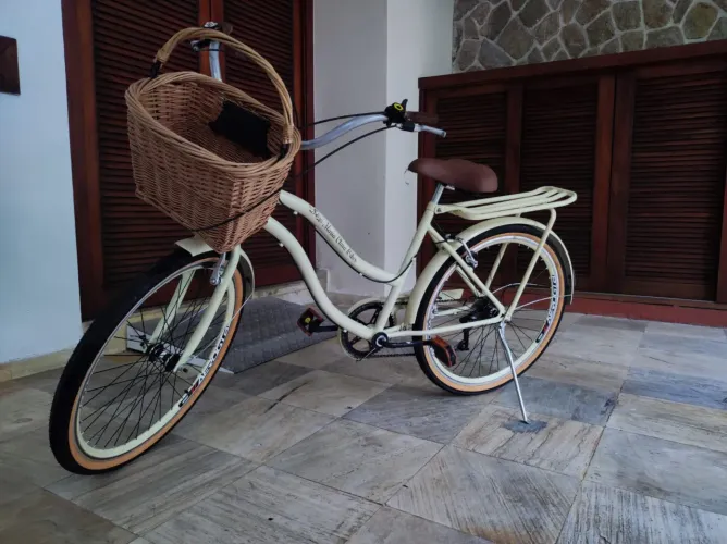 Bicicleta Vintage 