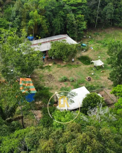 Sítio com criação de galinhas | Paricatuba 