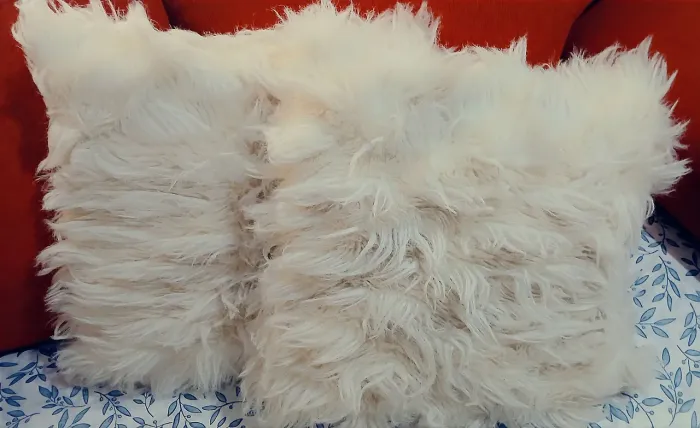 Almofadas pelúciadas