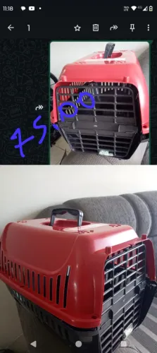 Caixa trasportadora pra animais até 10 Kg