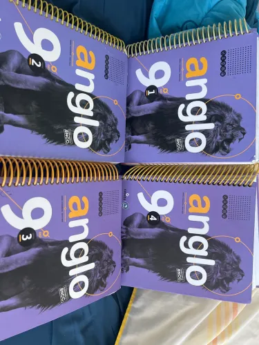 Livro Anglo 9 - 4 Cadernos