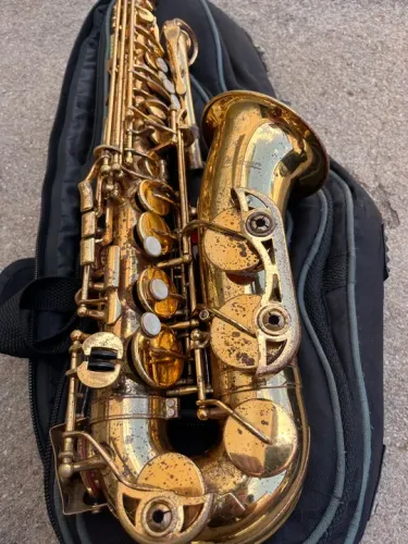 Saxofone Alto waldman