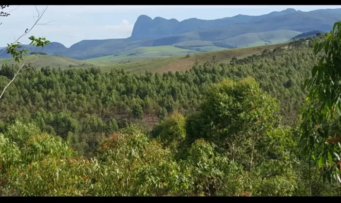 Fazenda sitio Aiuruoca - MG - frente rodovia e pico do papagaio aceita troca permuta