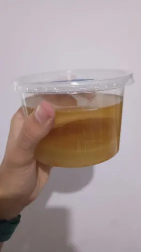 Scooby de kombucha + líquido starter