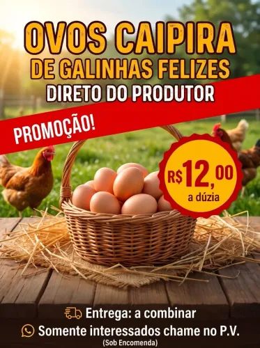 Ovos Caipira direto da Roça de Galinhas Felizes