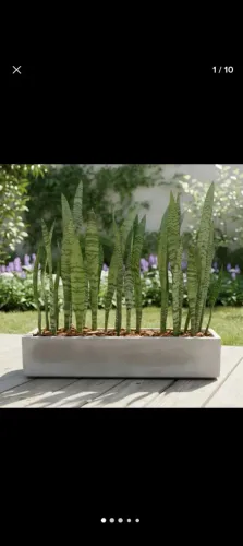 Jardineira de Cimento para plantas. Promoção!!!