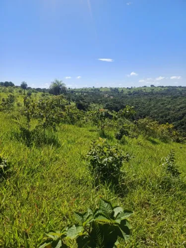 SITIO EM RIANAPOLIS GO 2.5 ALQUEIRES TROCA EM IMOVEL EM GOIANIA