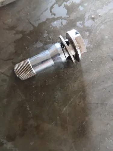 Parafuso do motor da hornet