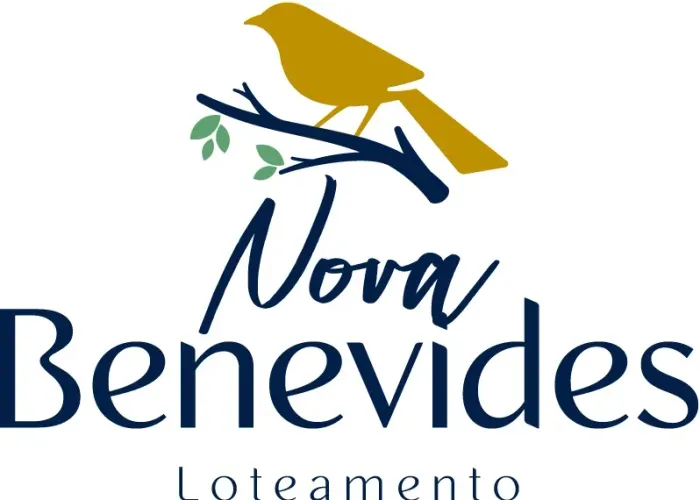 Lote Nova Benevides- Repasse urgente- Proprietário