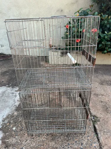 Gaiolas barata