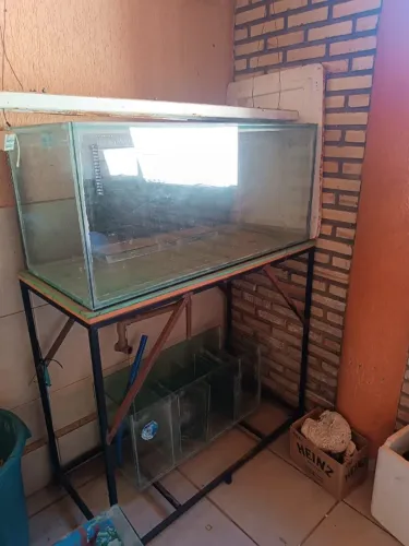 Aquário desapego