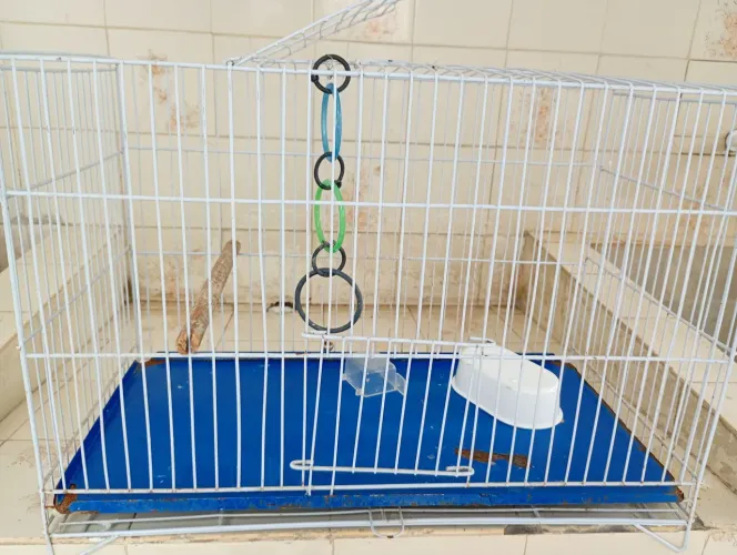Gaiola para calopsita 