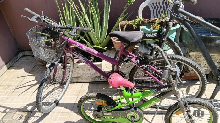 Bicicleta para reforma