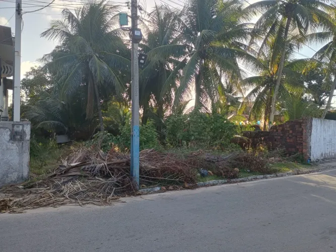 Terreno em Praia para Venda em Barra de Santo Antônio, ILHA DA CRÔA