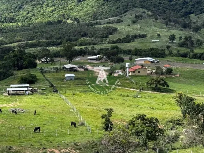 Fazenda em Goias Velho