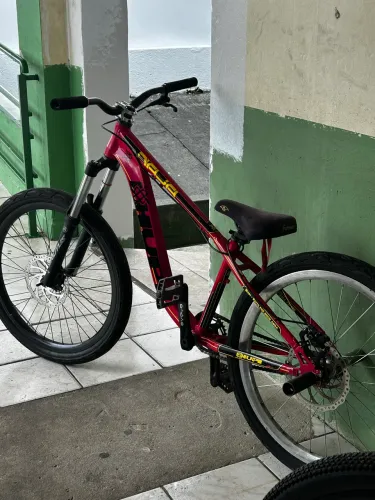 Hupi naja 2019