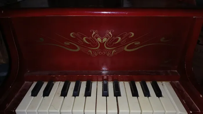 Vendo esse piano infantil Giese!