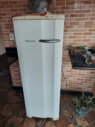 Freezer vertical