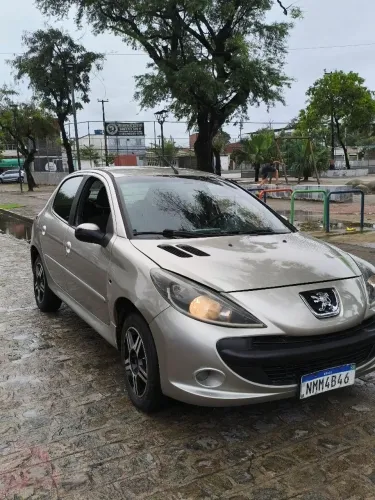 Peugeot 207 XR 1.4 Flex 8V 5P 2012