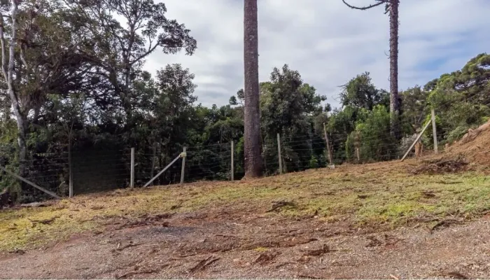 Terreno 5.000 m² em Quatro Barras