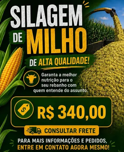Silagem de milho